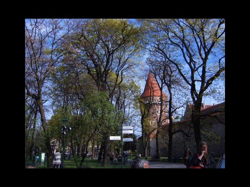 Krakau Befestigungsanlagen Florianstor Barbakan