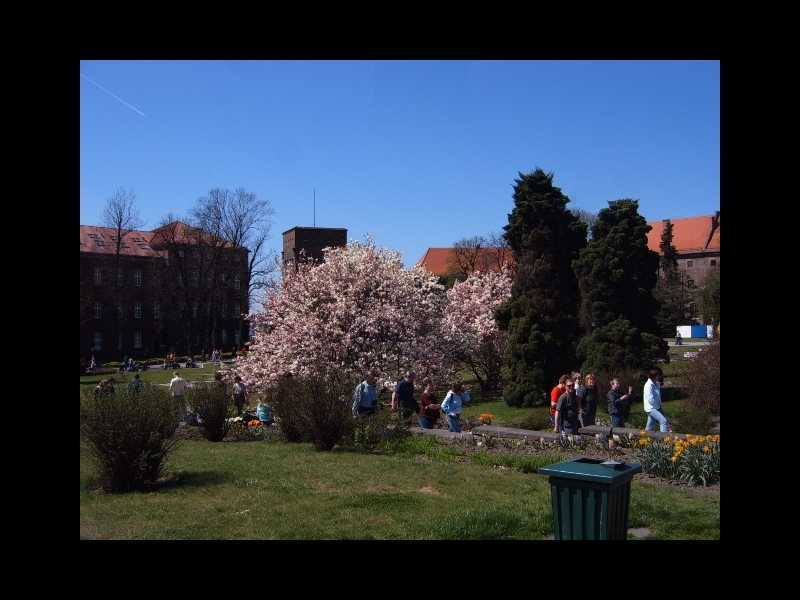 Krakau Wawelhgel Bauwerke Geschichte