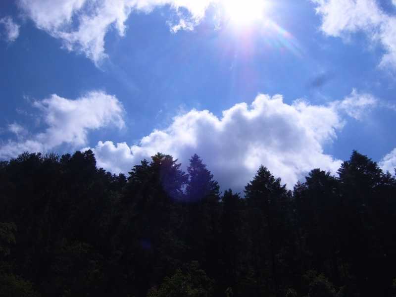 Polen Pieniny-Gebirge Flossfahrt Dunajec-Durchbruch